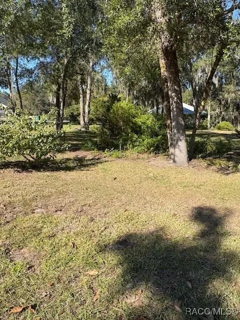 232 Trout Ave, Inverness, FL 34453