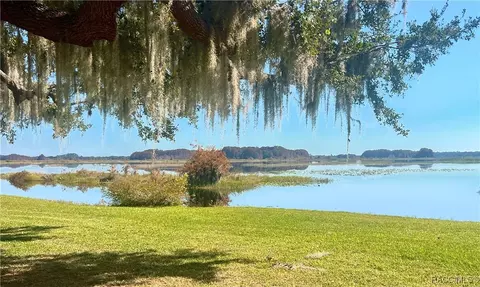 View/Area - 3682 E Lake Todd Dr, Hernando, FL 34442 photo 4 of 5