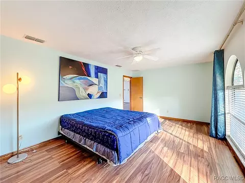 1037 E Hartford St, Hernando, FL 34442 photo 31
