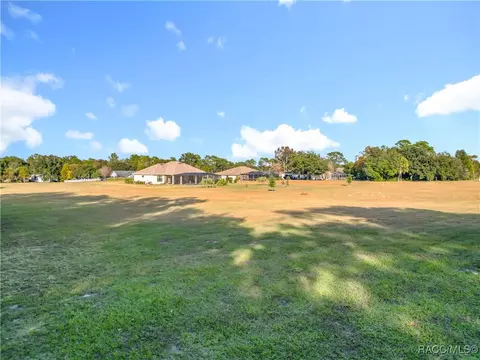 1037 E Hartford St, Hernando, FL 34442 photo 61