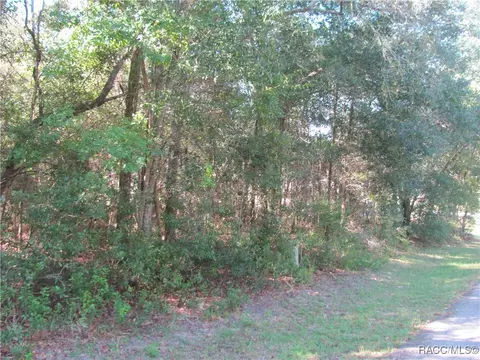 1264 E Getty Ln, Hernando, FL 34442