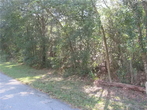 1264 E Getty Ln, Hernando, FL 34442 photo 6