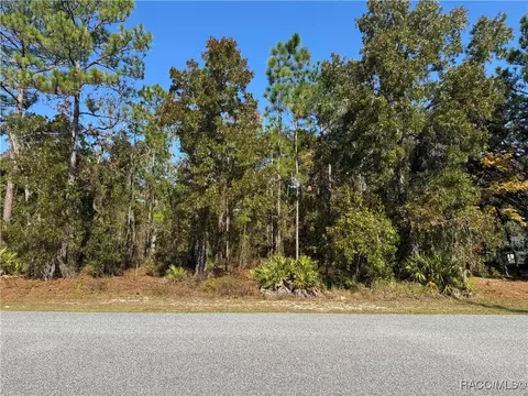 157 Daisy St, Homosassa, FL 34446