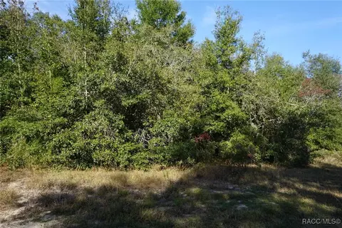 1399 E Ridgefield Dr, Hernando, FL 34442 photo 5