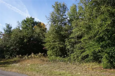 1399 E Ridgefield Dr, Hernando, FL 34442 photo 2
