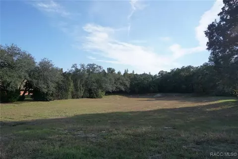 1399 E Ridgefield Dr, Hernando, FL 34442 photo 8