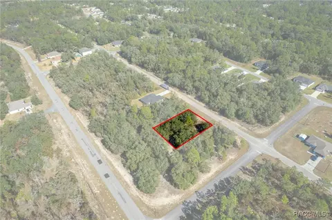 6320 N Matheson Dr, Citrus Springs, FL 34434