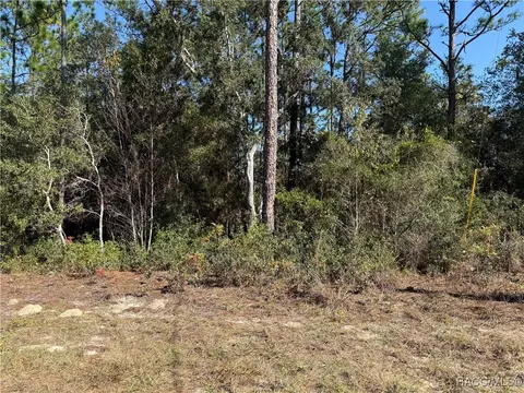 11089 N Frantz Ave, Citrus Springs, FL 34434