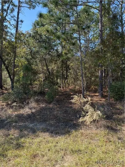 7093 N Regent Ter, Citrus Springs, FL 34433