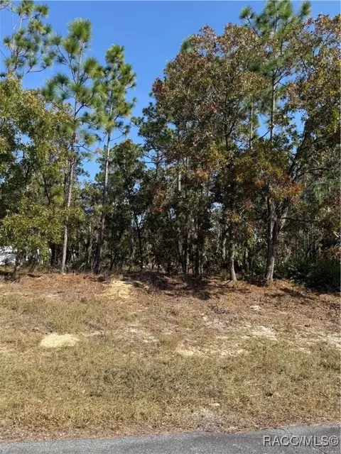 7671 N Keystone Dr, Citrus Springs, FL 34433