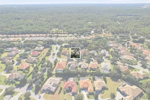 View/Area - 1404 N Ridge Meadow Path, Hernando, FL 34442 photo 3 of 14