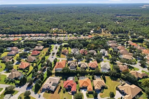 View/Area - 1404 N Ridge Meadow Path, Hernando, FL 34442 photo 5 of 14