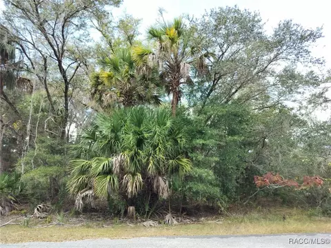 9999 N Snowball Pt, Crystal River, FL 34428