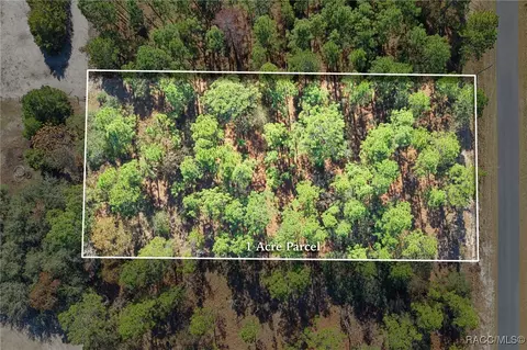 lot16 SE 136th Ter, Dunnellon, FL 34431