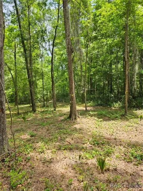 0 NW 83rd Court Rd, Ocala, FL 34482