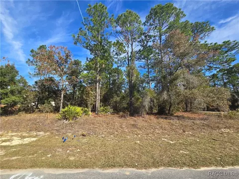 6434 N Baylor Ter, Citrus Springs, FL 34433