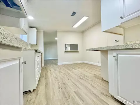 5397 N Irving Park Ave, Hernando, FL 34442 photo 7