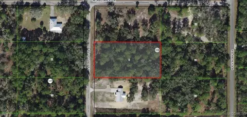 9153 N Bromeliad Ter, Crystal River, FL 34428