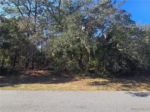 11370 N Ortega Pt, Dunnellon, FL 34433