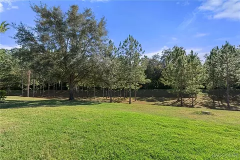 Exterior - 1454 W Laurel Glen Path, Hernando, FL 34442 photo 11 of 17