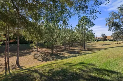 Exterior - 1454 W Laurel Glen Path, Hernando, FL 34442 photo 14 of 17