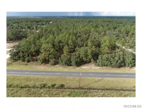 tbd NE 137th Ave, Williston, FL 32696 photo 2