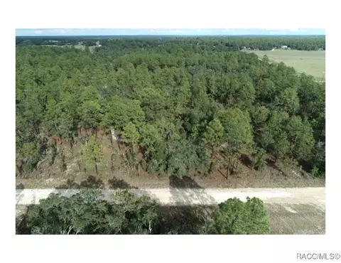 tbd NE 137th Ave, Williston, FL 32696 photo 4