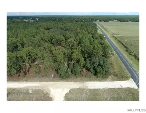 tbd NE 137th Ave, Williston, FL 32696