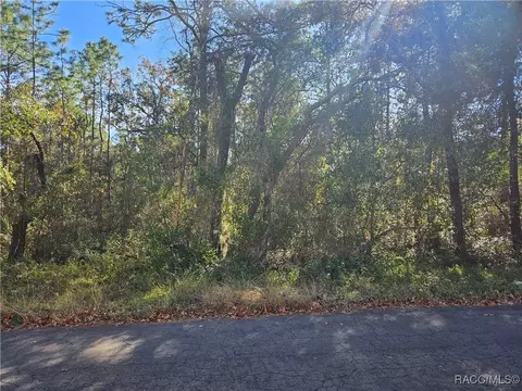 296 E Foster Ct, Lecanto, FL 34461