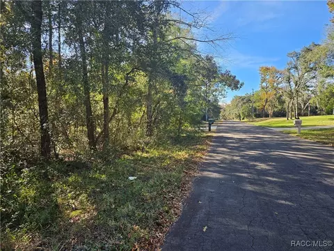 296 E Foster Ct, Lecanto, FL 34461 photo 3