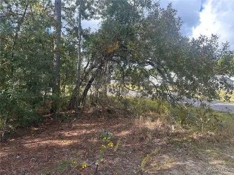 7779 N Cricket Dr, Citrus Springs, FL 34434
