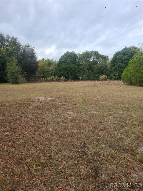tbd SE 195 Pl, Dunnellon, FL 34431