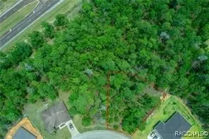 91 Bells Of Ireland Ct, Homosassa, FL 34446