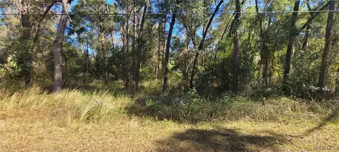 3627 S Fitch Ave, Inverness, FL 34452