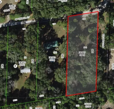 7338 W Cheryl Ct, Dunnellon, FL 34433