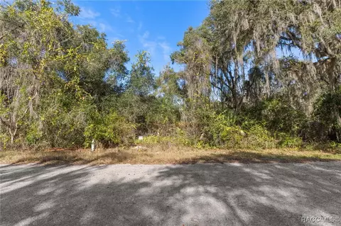 4351 E Mate Ln, Hernando, FL 34442 photo 8