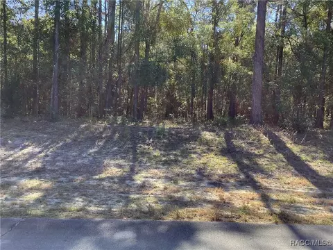 tbd SW 89th Cir, Ocala, FL 34473