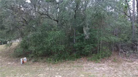 9700 N Langdon Rd, Citrus Springs, FL 34434