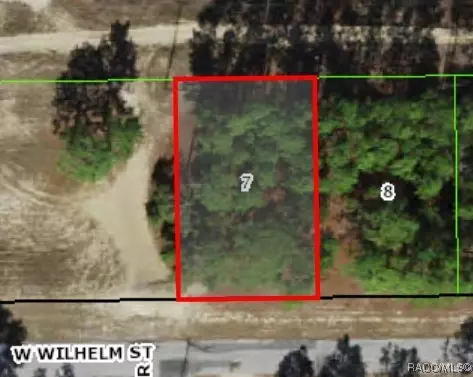 3131 W Wilhelm St, Citrus Springs, FL 34433