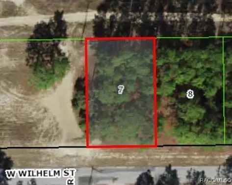 3131 W Wilhelm St, Citrus Springs, FL 34433
