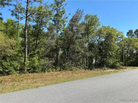 2918 W Camilo Dr, Citrus Springs, FL 34434