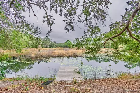 3831 E Camelot Pl, Hernando, FL 34442 photo 33