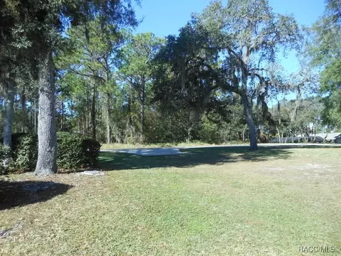 Other - 439 E Reehill St, Lecanto, FL 34461 photo 14 of 14