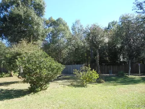Exterior - 439 E Reehill St, Lecanto, FL 34461 photo 12 of 16