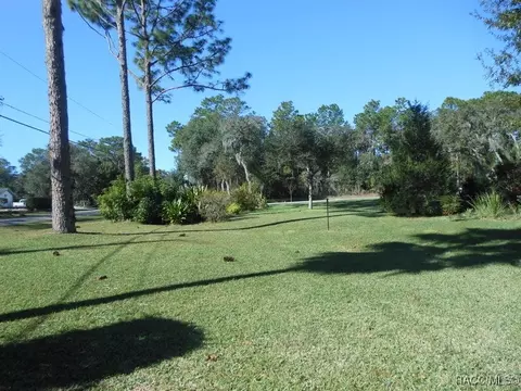 Exterior - 439 E Reehill St, Lecanto, FL 34461 photo 9 of 16