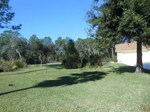 Exterior - 439 E Reehill St, Lecanto, FL 34461 photo 8 of 16