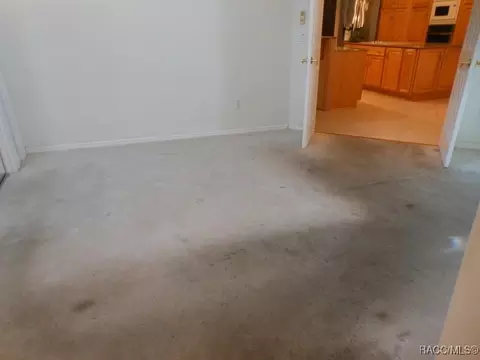 Other - 439 E Reehill St, Lecanto, FL 34461 photo 3 of 14