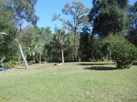 Exterior - 439 E Reehill St, Lecanto, FL 34461 photo 7 of 16