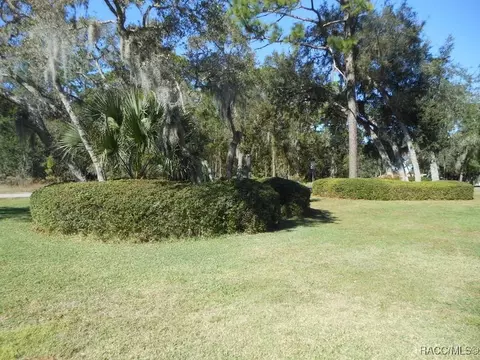 Exterior - 439 E Reehill St, Lecanto, FL 34461 photo 13 of 16