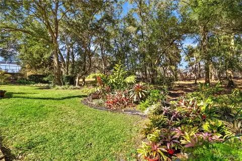 Exterior - 389 W Doerr Path, Hernando, FL 34442 photo 17 of 21